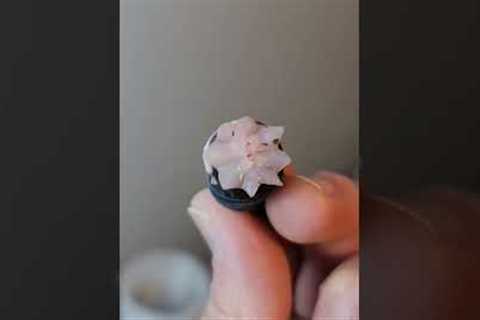 Black Night Leopard Gecko Tail Drop 😮😮😮