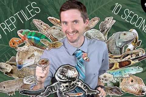 25 Popular Pet Reptiles - Which One Is Right For You?