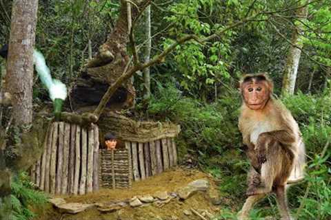 7 DAYS solo survival (NO FOOD, NO WATER) Primitive Fishing, Cooking. Survival Shelter under a tree
