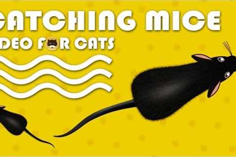 CAT GAMES - Catching Mice! Entertainment Video for Cats to Watch | CAT &amp; DOG TV.