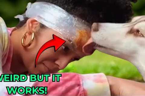 Top 10 Tricks To Get Your Dog To Behave When Getting Groomed