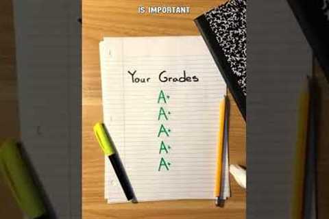The Supplies I Used in School