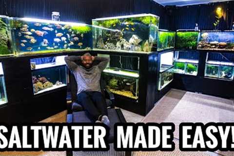 Saltwater Aquariums Are EASY: Guide to Setting up a Saltwater Fish Tank