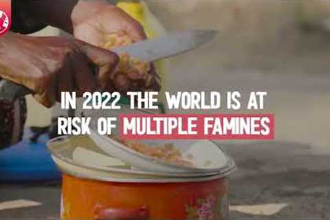 These are the warning signs of a global food shortage