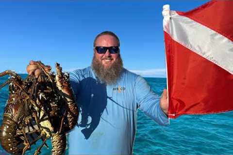 Diving for Lobster in the Florida Keys!!! Catch-Clean-Cook