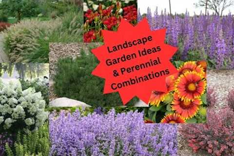 Landscape Design Ideas and Perennial Combinations