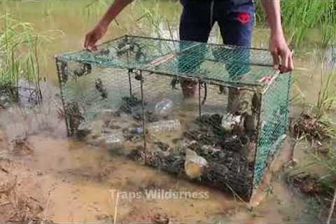 Wow best creative River Crab Trap using Iran net in the lake