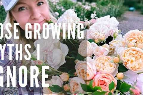 Rose growing MYTHS you don't need to follow!
