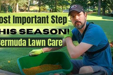 Fall Pre Emergent - Bermuda Lawn Care - Make your lawn better next year!