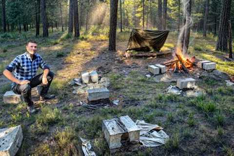 I'm Building a Guest LOG CABIN on My Land from SCRATCH! PART 1