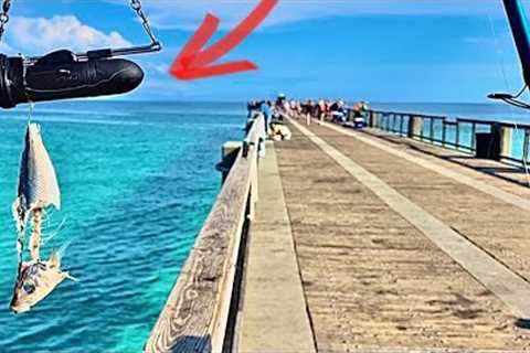 I Tossed! Cut Bait Attached To A Fishing Camera Off A Pier And Saw This