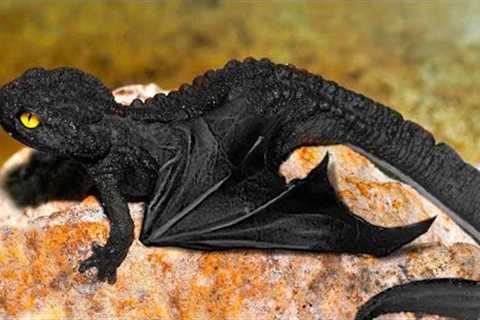 15 Most Unique Exotic Reptiles In The World #2