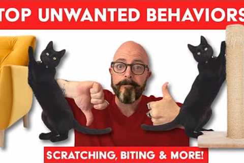 How to Get Your Cats to Stop... Everything You Hate: Every No Needs a Yes!