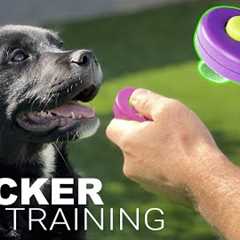 How to Train Your Dog with a CLICKER.