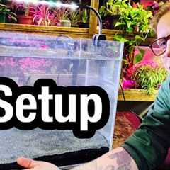 How to Set Up a Fish Aquarium at Home - Beginners Guide