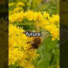 The Vanishing Honeybees: A Global Crisis! #shorts #savethebees #earth #climate #trending #viral