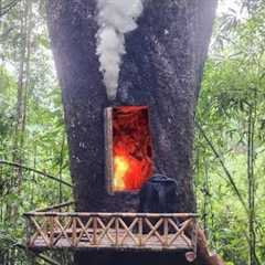 Survival with primitive skills, building Bushcraft shelter in the giant trees