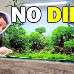 Why I Don't Use Dirt In My Fish Tanks...