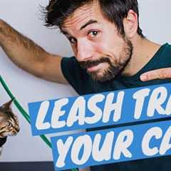 TRAIN YOUR CAT TO WALK ON A LEASH Using Positive Reinforcement - TUTORIAL