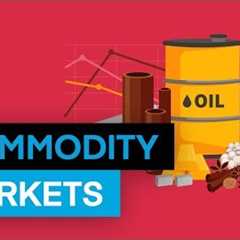 Introduction to the Commodity Markets