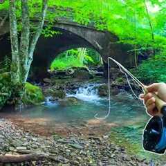 How to Catch MORE Brook Trout || Fly Fishing For Beginners