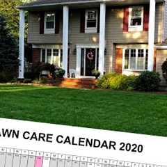 Easy Lawn Care Program (Beginner and Advanced) // Updated for 2020