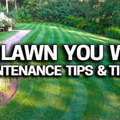 My Lawn Care Schedule - What I do, When