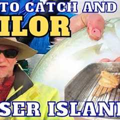 How To Catch and Cook TAILOR on Fraser Island  Catching Filleting Cooking fresh Tailor on the Beach