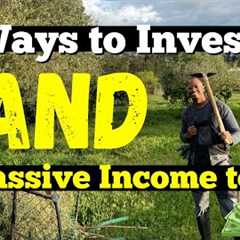 Buy Land NOW - 6 Ways to Generate Passive Income from a Small Piece of Land