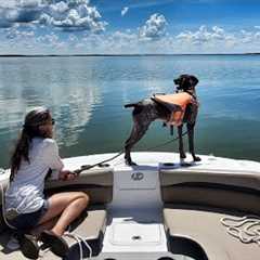 Exploring Lake Harris & Island Hopping | Freedom Boat Club