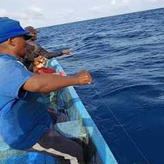 fishing for yellowfin tuna fish  catching skills handline fishing video amazing fishing