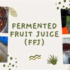 How to Make Fermented Fruit Juice (FFJ) | DIY Gardening