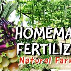 How to Make Fermented Plant Juice and Fermented Fruit Juice | Natural Liquid Fertilizers Part 1 🌸🌱