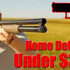 Best Home Defense Guns Under $300