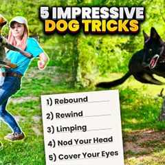 Amaze Your Friends with These 5 Easy-to-Learn Dog Tricks