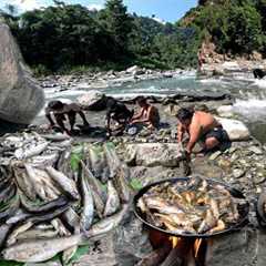 Barkhe Duwali Fishing in Mountain River Fish Catching and Cooking with Pork Meat Soup and Eating