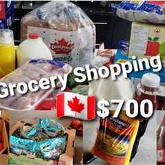 Realistic Grocery Shopping With Price | Living In Canada 🇨🇦.