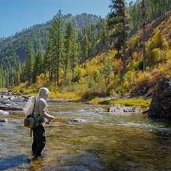 Hundreds Drive by this Blue Ribbon Trout Stream | Fly Fishing