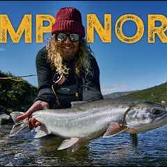 Camp North - Arctic Char - Fly Fishing Greenland