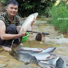 Lots of fish found after flood season. Robert | Green forest life