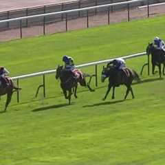 KYPRIOS makes all to land his eighth Group 1 victory in the Prix du Cadran at ParisLongchamp!