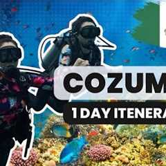 Cozumel México Day Trip | Chankanab Park Scuba Diving