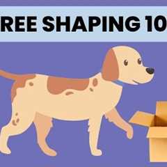 101 Things to do with a Box Dog Training | Example of Shaping in Dog Training