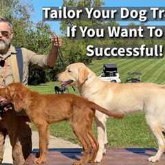 How We Tailor Our Dog & Puppy Training To Help Dogs Realize Their Full Potential! | Seven..