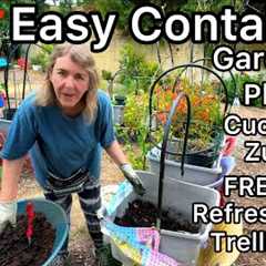 Growing Cucumbers in Container Gardening EASY Trellis, Fix Used Soil, Gardening Tips for Beginners