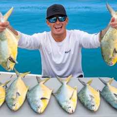 Florida's Most EXPENSIVE Fish... Catch Clean Cook (Florida Pompano)