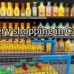 Grocery Shopping Compilation in Canada 🛒Summary of May grocery shopping with prices.