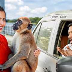 I Tested Pet Friendly Ubers with Exotic Animals !