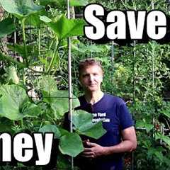 5 Money Saving Tips for Beginning Gardeners (Frugal Gardening)