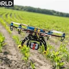 Nigerian farmers use drone technology to boost production | Money Talks